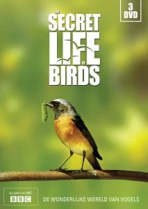 دانلود مستند زندگی مخفی پرندگان 2011 The Secret Life of Birds با دوبله فارسی