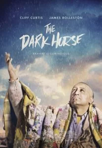 دانلود فیلم اسب سیاه The Dark Horse 2014 با دوبله فارسی