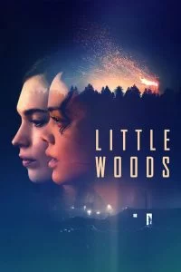 دانلود فیلم لیتل وودز Little Woods 2018