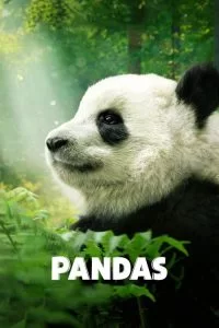 دانلود مستند پانداها Pandas 2018