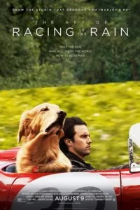 دانلود فیلم The Art of Racing in the Rain 2019 با دوبله فارسی