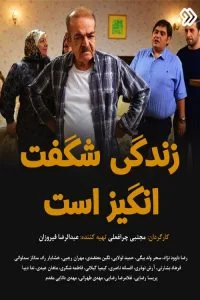 دانلود سریال زندگی شگفت انگیز است