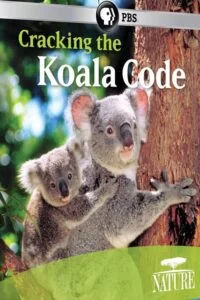 دانلود مستند 2012 quot;Nature" Cracking the Koala Code