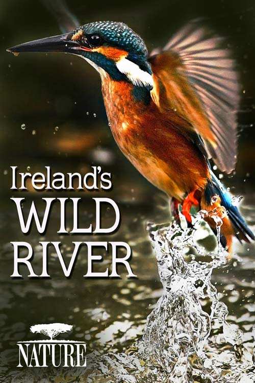 دانلود مستند Ireland’s Wild River 2014 با دوبله فارسی