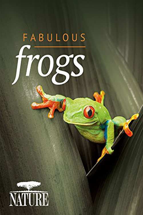 دانلود مستند Fabulous Frogs 2014