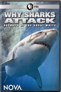 دانلود مستند 2014 Why Sharks Attack