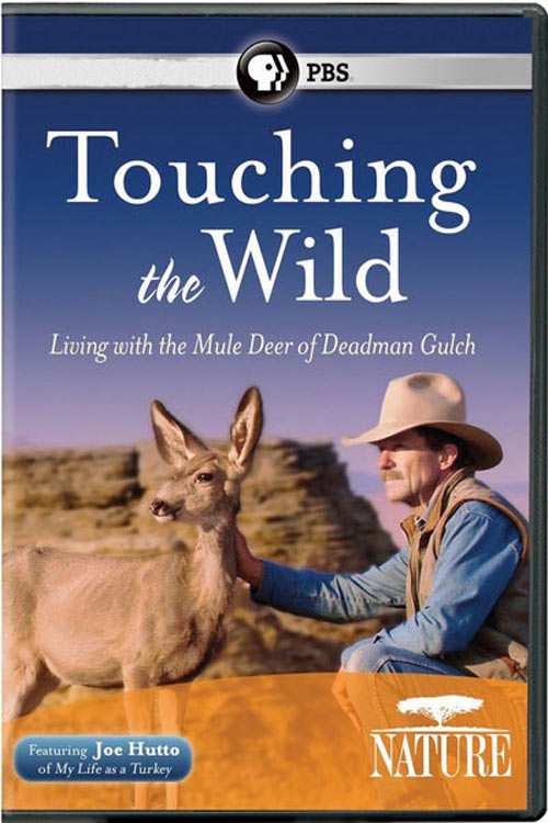 دانلود مستند Touching the Wild 2014