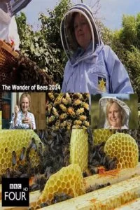 دانلود مستند Wonder of Bees with Martha Kearney 2014