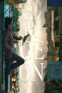 دانلود فیلم کبوتر The Pigeon 2018 زیرنویس فارسی چسبیده