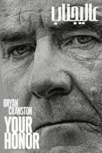 دانلود فصل اول سریال عالیجناب Your Honor 2020