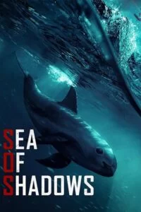 دانلود مستند Sea of Shadows 2019
