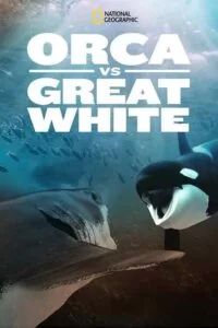 دانلود مستند اورکا در مقابل سفید عظیم Orca vs Great White 2021