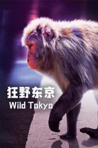 دانلود مستند توکیو وحشی Wild Tokyo 2020