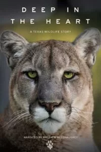 دانلود مستند اعماق قلب: داستان حیات وحش تگزاس Deep in the Heart: A Texas Wildlife Story 2022