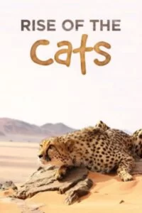 دانلود فیلم گربهسانان خانوادهای شگفت انگیز  BSkyB Big Cats An Amazing Animal Family 2015 زیرنویس فارسی چسبیده