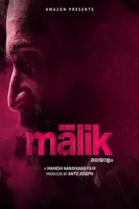 دانلود فیلم مالک Malik 2021 زیرنویس فارسی چسبیده