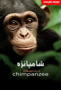 دانلود فیلم شامپانزه Chimpanzee] 2012] + دوبله فارسی ✅