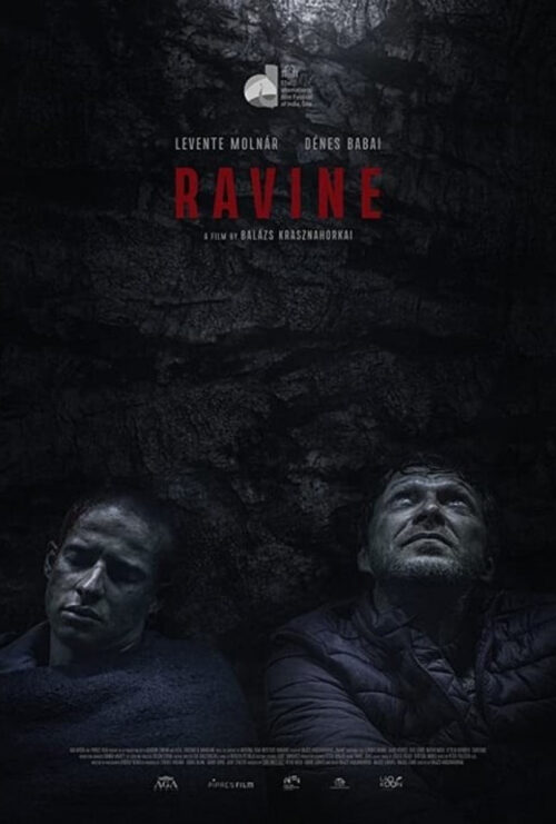 دانلود فیلم دره Ravine 2021 زیرنویس فارسی چسبیده