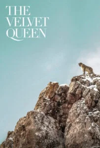دانلود مستند ملکه مخملی The Velvet Queen 2021 زیرنویس فارسی چسبیده
