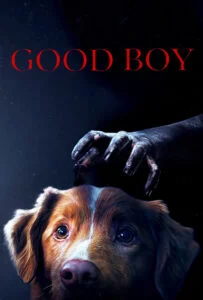دانلود فیلم پسر خوب Good Boy 2025 زیرنویس فارسی چسبیده